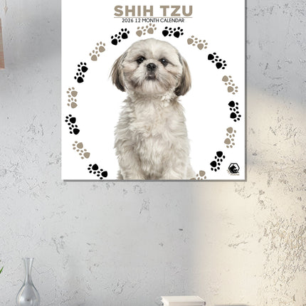 CalendarsRUs Shih Tzu Kalender 2026