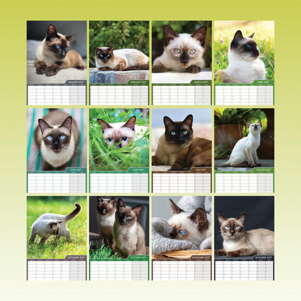 CalendarsRUs Siamees A3 Kalender 2027