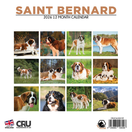 CalendarsRUs Sint Bernard Kalender 2026