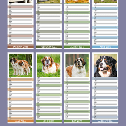 CalendarsRUs Sint Bernard Slimline Kalender 2026