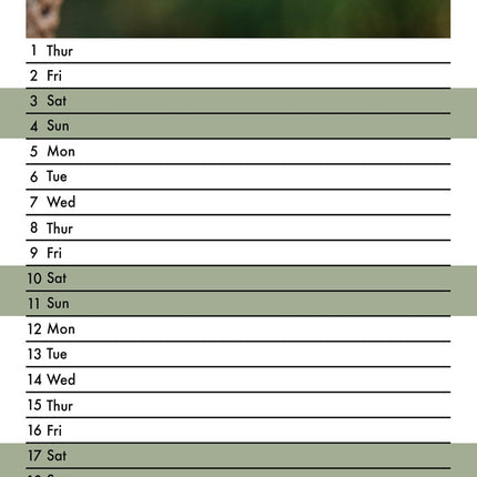 CalendarsRUs Slangen Slimline Kalender 2026