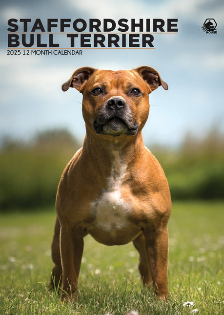 CalendarsRUs Staffordshire Bull Terrier A3 Kalender 2027