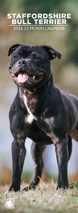 CalendarsRUs Staffordshire Bull Terrier Slimline Kalender 2026
