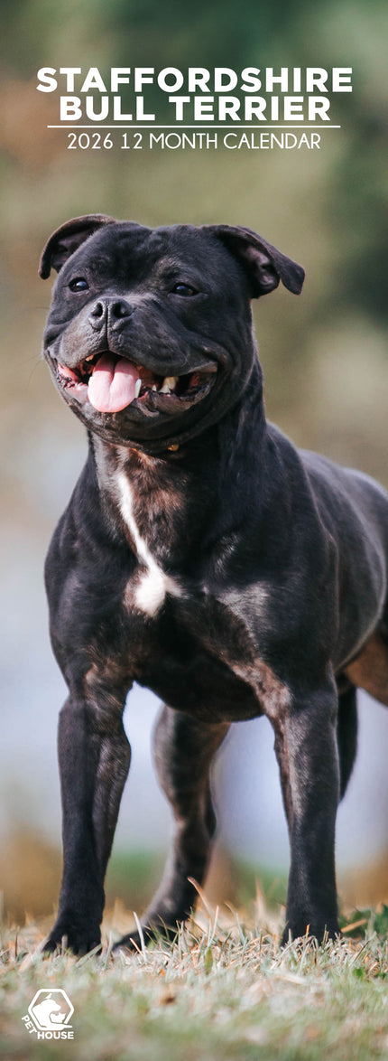 CalendarsRUs Staffordshire Bull Terrier Slimline Kalender 2026