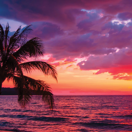 CalendarsRUs Sunsets A3 Kalender 2027