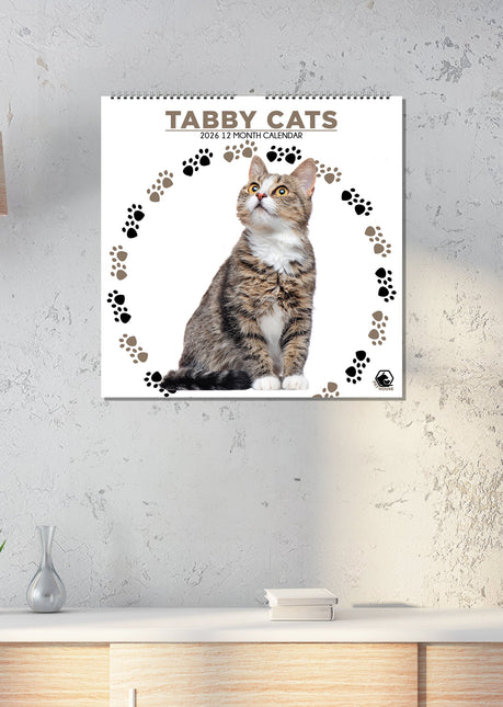 CalendarsRUs Tabby Katten Kalender 2026