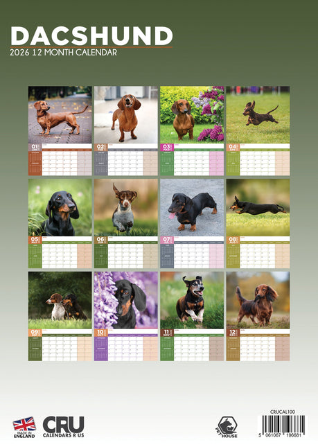 CalendarsRUs Teckel A3 Kalender 2026
