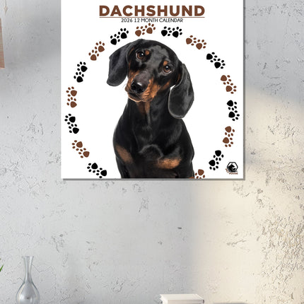 CalendarsRUs Teckel Kalender 2026