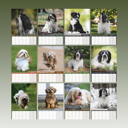 CalendarsRUs Tibetaanse Terrier A3 Kalender 2027