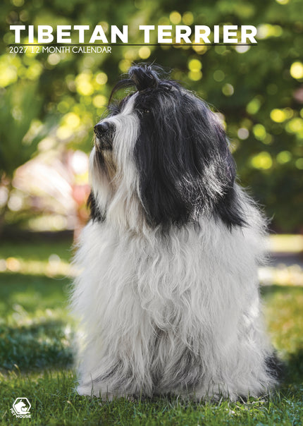 CalendarsRUs Tibetaanse Terrier A3 Kalender 2027
