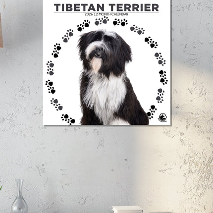 CalendarsRUs Tibetaanse Terrier Kalender 2026