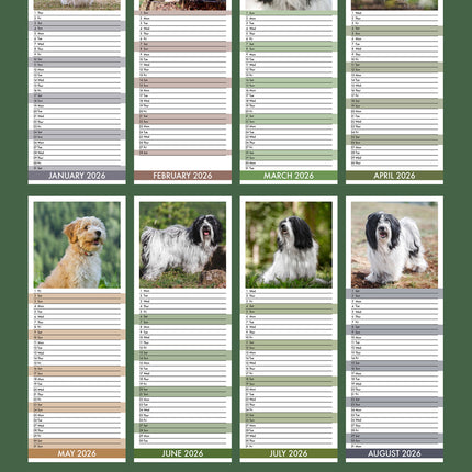 CalendarsRUs Tibetaanse Terrier Slimline Kalender 2026