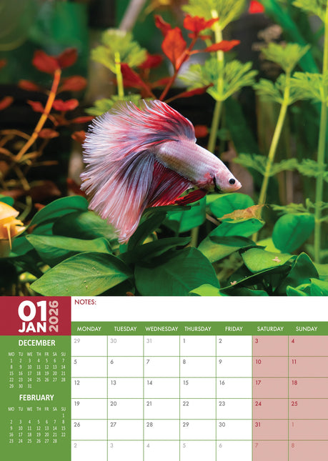 CalendarsRUs Tropische Vissen A3 Kalender 2026