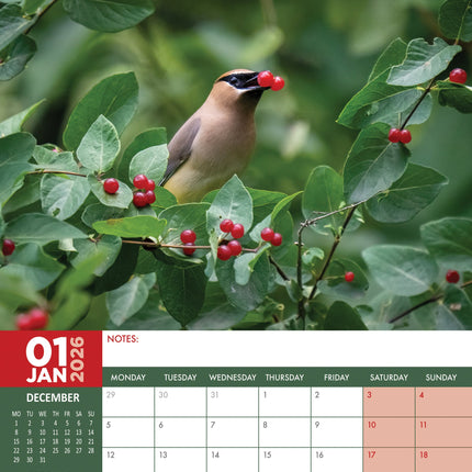 CalendarsRUs Tuinvogels A3 Kalender 2027