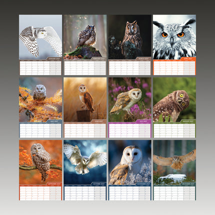 CalendarsRUs Uilen A3 Kalender 2027