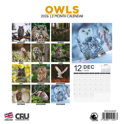 CalendarsRUs Uilen Kalender 2026