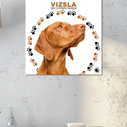 CalendarsRUs Vizsla Kalender 2026