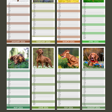 CalendarsRUs Vizsla Slimline Kalender 2026