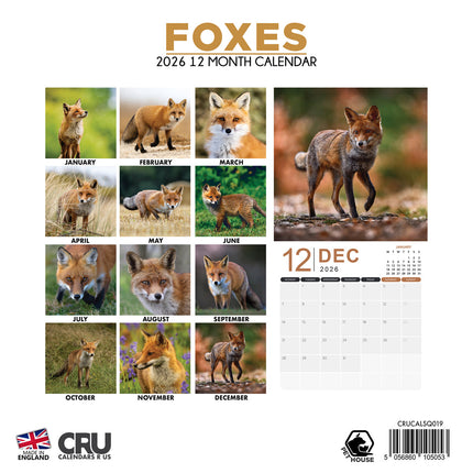 CalendarsRUs Vossen Kalender 2026