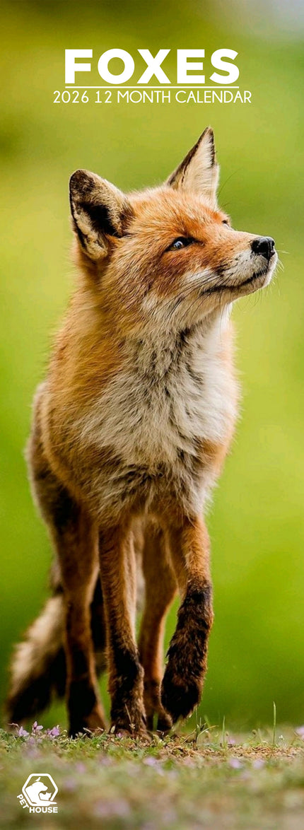 CalendarsRUs Vossen Slimline Kalender 2027