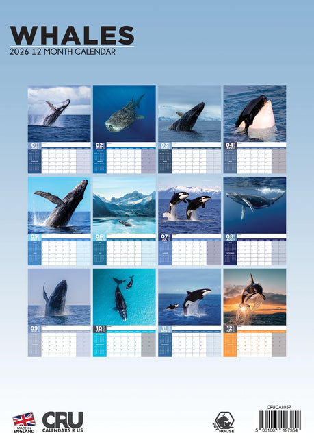 CalendarsRUs Walvissen A3 Kalender 2026