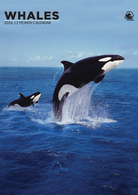 CalendarsRUs Walvissen A3 Kalender 2026