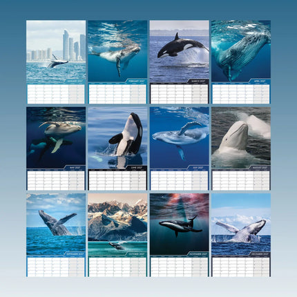 CalendarsRUs Walvissen A3 Kalender 2027