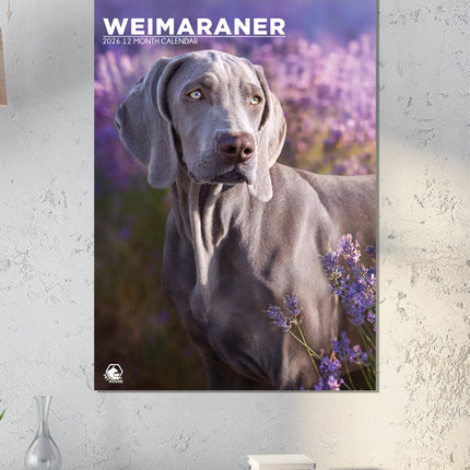 CalendarsRUs Weimaraner A3 Kalender 2026