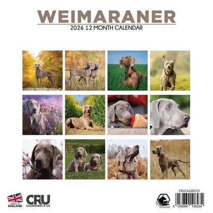 CalendarsRUs Weimaraner Kalender 2026