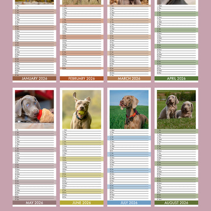 CalendarsRUs Weimaraner Slimline Kalender 2026