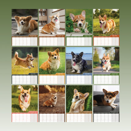 CalendarsRUs Welsh Corgi A3 Kalender 2027