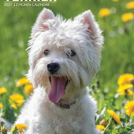 CalendarsRUs West Highland White Terrier A3 Kalender 2027