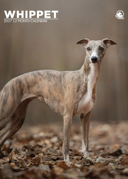 CalendarsRUs Whippet A3 Kalender 2027