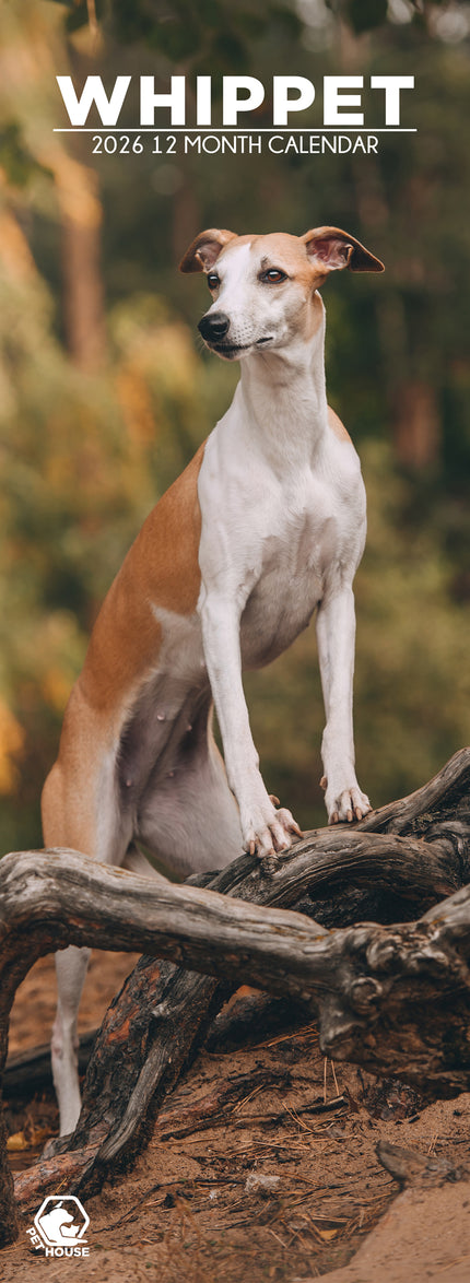 CalendarsRUs Whippet Slimline Kalender 2026