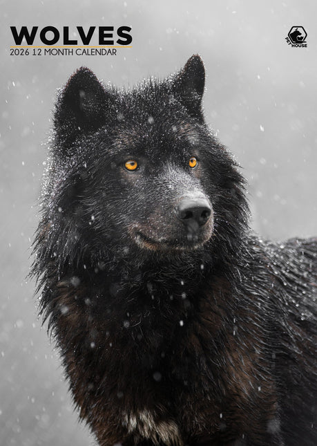 CalendarsRUs Wolven A3 Kalender 2027