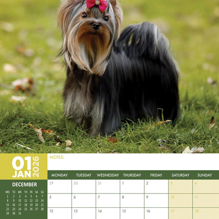 CalendarsRUs Yorkshire Terrier A3 Kalender 2026