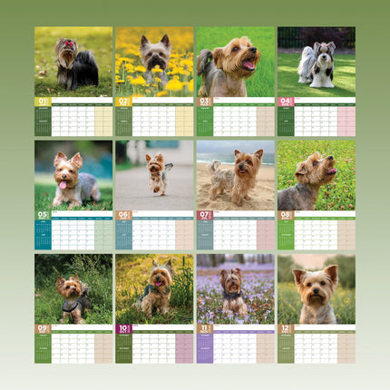 CalendarsRUs Yorkshire Terrier A3 Kalender 2026