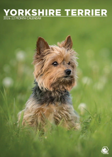 CalendarsRUs Yorkshire Terrier A3 Kalender 2026