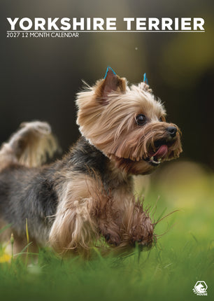 CalendarsRUs Yorkshire Terrier A3 Kalender 2027