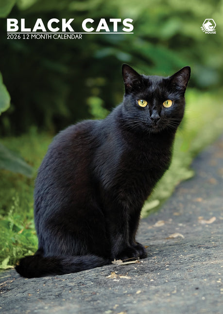 CalendarsRUs Zwarte Katten A3 Kalender 2027