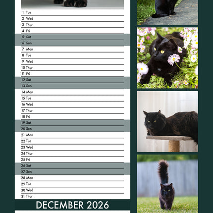 CalendarsRUs Zwarte Katten Slimline Kalender 2026