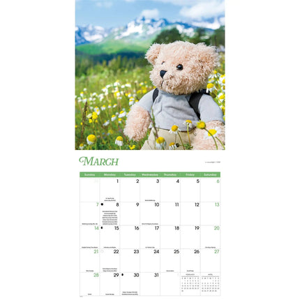 Carousel Worldwide Teddyberen Kalender 2027