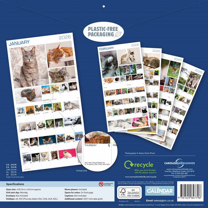 CarouselCalendars 365 Dagen Katten Kalender 2026