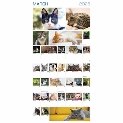 CarouselCalendars 365 Dagen Katten Kalender 2026