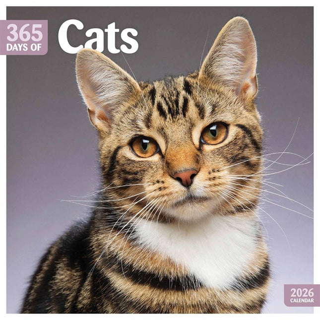 CarouselCalendars 365 Dagen Katten Kalender 2026