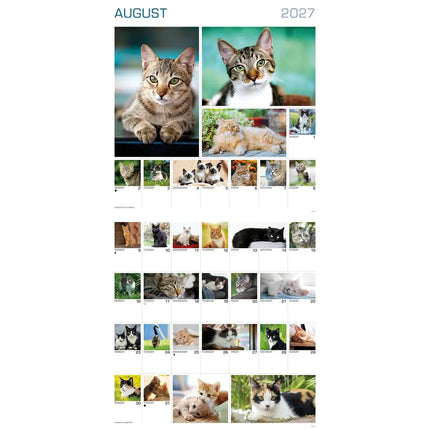 CarouselCalendars 365 Dagen Katten Kalender 2027