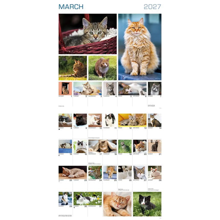 CarouselCalendars 365 Dagen Katten Kalender 2027