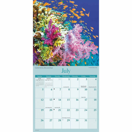 CarouselCalendars Amazing Planet Mini Kalender 2026