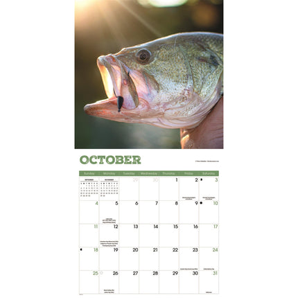 CarouselCalendars Baars Vissen Kalender 2026