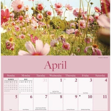 CarouselCalendars Bijbelverzen Kalender 2026